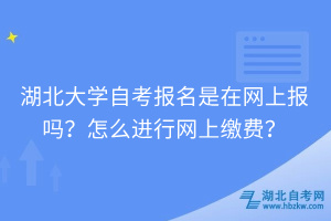 湖北大學(xué)自考報(bào)名是在網(wǎng)上報(bào)嗎？怎么進(jìn)行網(wǎng)上繳費(fèi)？