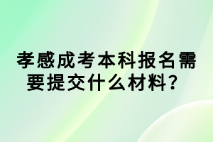 孝感成考本科報(bào)名需要提交什么材料？