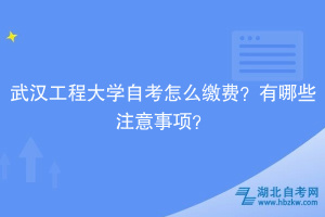 武漢工程大學(xué)自考?怎么繳費(fèi)？有哪些注意事項(xiàng)？