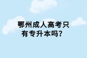 鄂州成人高考只有專升本嗎？