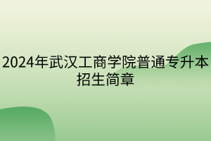 2024年武漢工商學(xué)院普通專升本招生簡(jiǎn)章