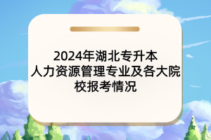 2024年湖北專升本人力資源管理專業(yè)及各大院校報(bào)考情況