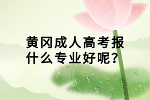 黃岡成人高考報什么專業(yè)好呢？