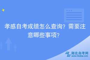 孝感自考成績(jī)?cè)趺床樵?？需要注意哪些事?xiàng)？