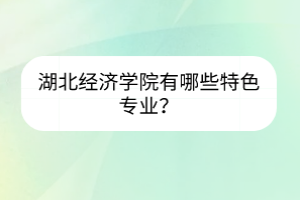 湖北經(jīng)濟學院有哪些特色專業(yè)？