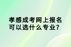 孝感成考網(wǎng)上報(bào)名可以選什么專(zhuān)業(yè)？