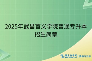 2025年武昌首義學(xué)院普通專升本招生簡章