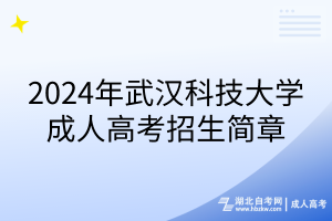 2024年武漢科技大學(xué)成人高考招生簡章