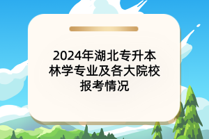 2024年湖北專升本林學專業(yè)及各大院校報考情況