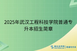 2025年武漢工程科技學(xué)院普通專升本招生簡章