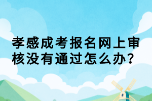 孝感成考報(bào)名網(wǎng)上審核沒(méi)有通過(guò)怎么辦？