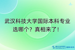 武漢科技大學國際本科專業(yè)選哪個？真相來了！