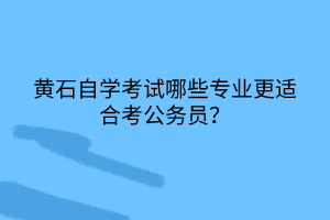 黃石自學(xué)考試哪些專業(yè)更適合考公務(wù)員？