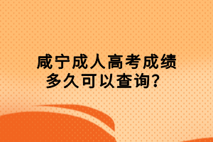 咸寧成人高考成績(jī)多久可以查詢？