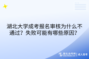 2024年湖北大學(xué)成考報(bào)名審核為什么不通過？失敗可能有哪些原因？