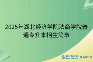 2025年湖北經(jīng)濟(jì)學(xué)院法商學(xué)院普通專升本招生簡章