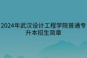 2024年武漢設(shè)計(jì)工程學(xué)院普通專升本招生簡(jiǎn)章