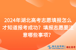 2024年湖北高考志愿填報怎么才知道報考成功？填報志愿要注意哪些事項？