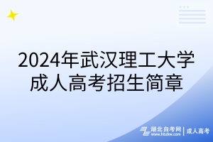 2024年武漢理工大學(xué)成人高考招生簡章