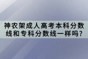 神農(nóng)架成人高考本科分?jǐn)?shù)線和專科分?jǐn)?shù)線一樣嗎?