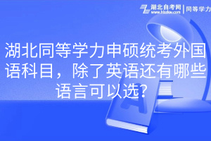 湖北同等學(xué)力申碩統(tǒng)考外國語科目，除了英語還有哪些語言可以選？