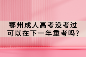 鄂州成人高考沒考過可以在下一年重考嗎?