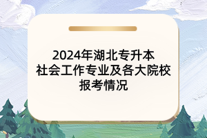 2024年湖北專升本社會工作專業(yè)及各大院校報考情況