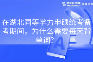 在湖北同等學(xué)力申碩統(tǒng)考備考期間，為什么需要每天背單詞？