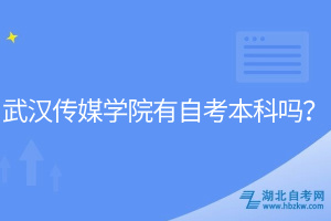 武漢傳媒學院有自考本科嗎？