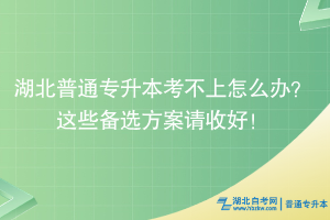 湖北普通專升本考不上怎么辦？這些備選方案請收好！