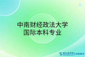 中南財(cái)經(jīng)政法大學(xué)國(guó)際本科專業(yè)