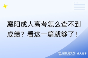 襄陽成人高考怎么查不到成績？看這一篇就夠了！