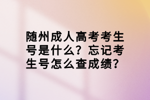 隨州成人高考考生號是什么？忘記考生號怎么查成績？