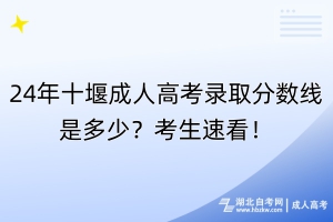 24年十堰成人高考錄取分?jǐn)?shù)線是多少？考生速看！