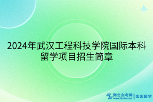 2024年武漢工程科技學(xué)院國(guó)際本科留學(xué)項(xiàng)目招生簡(jiǎn)章