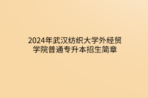 2024年武漢紡織大學外經貿學院普通專升本?招生簡章