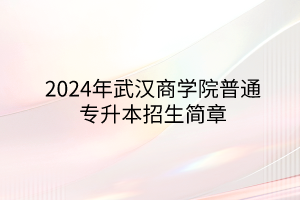 2024年武漢商學(xué)院專升本招生簡(jiǎn)章