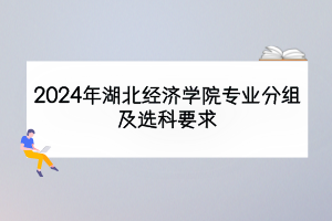 2024年湖北經(jīng)濟(jì)學(xué)院專業(yè)分組及選科要求