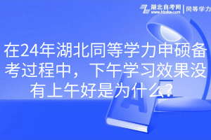 在24年湖北同等學(xué)力申碩備考過程中，下午學(xué)習(xí)效果沒有上午好是為什么？