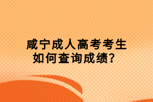 咸寧成人高考考生如何查詢成績？