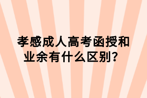 孝感成人高考函授和業(yè)余有什么區(qū)別？