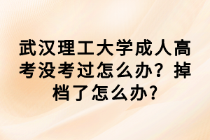 武漢理工大學成人高考沒考過怎么辦？掉檔了怎么辦_