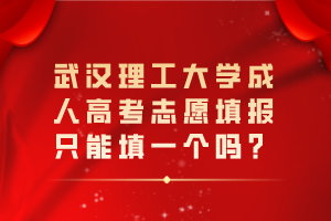 武漢理工大學(xué)成人高考志愿填報(bào)只能填一個(gè)嗎？