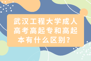 武漢工程大學(xué)成人高考高起專和高起本有什么區(qū)別？