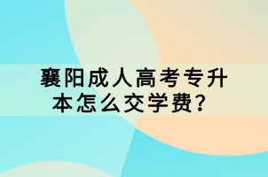 襄陽成人高考專升本怎么交學費？