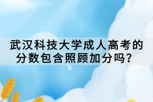 武漢科技大學(xué)成人高考的分?jǐn)?shù)包含照顧加分嗎？