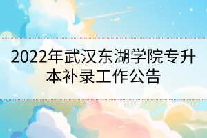 2022年武漢東湖學(xué)院專升本補(bǔ)錄工作公告