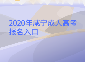 2020年咸寧成人高考報(bào)名入口