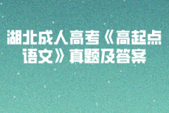 2002-2019年湖北成人高考《高起點語文》真題及答案