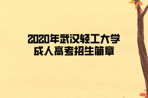 2020年武漢輕工大學(xué)成人高考招生簡章